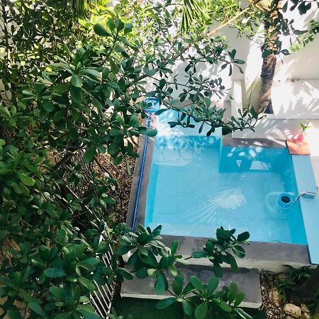 Cozy Tiny Studio Acasadialexplayadelcarmen Playa del Carmen Eksteriør bilde