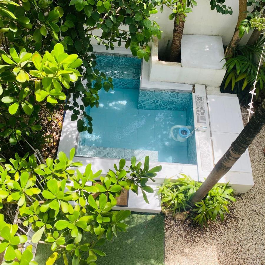 Cozy Tiny Studio Acasadialexplayadelcarmen Playa del Carmen Eksteriør bilde