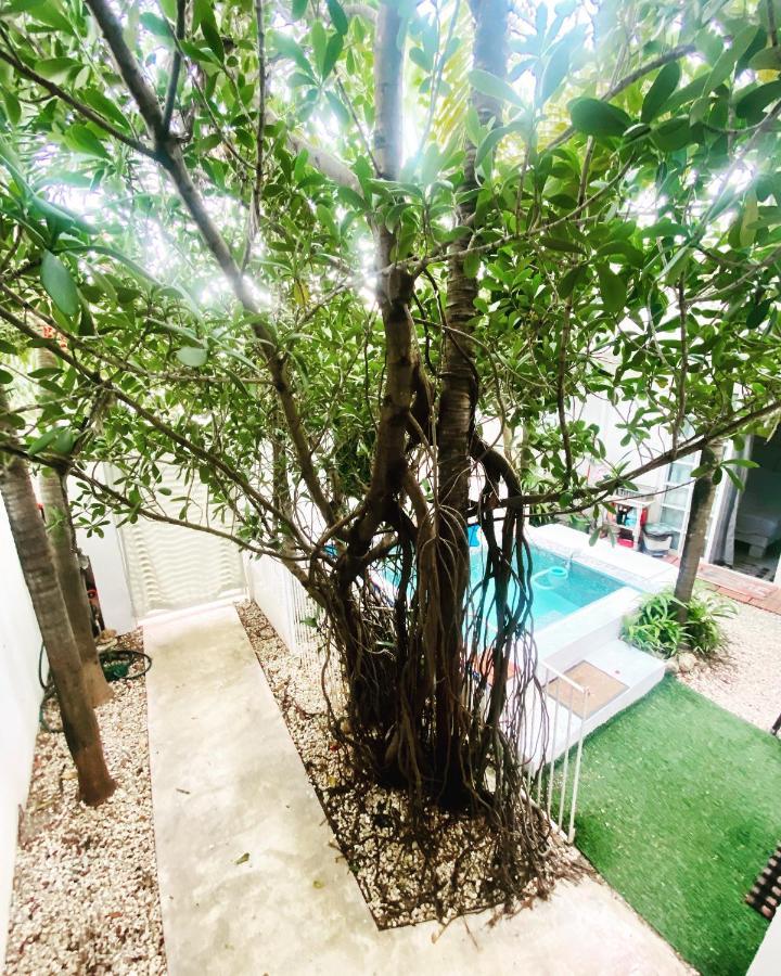 Cozy Tiny Studio Acasadialexplayadelcarmen Playa del Carmen Eksteriør bilde