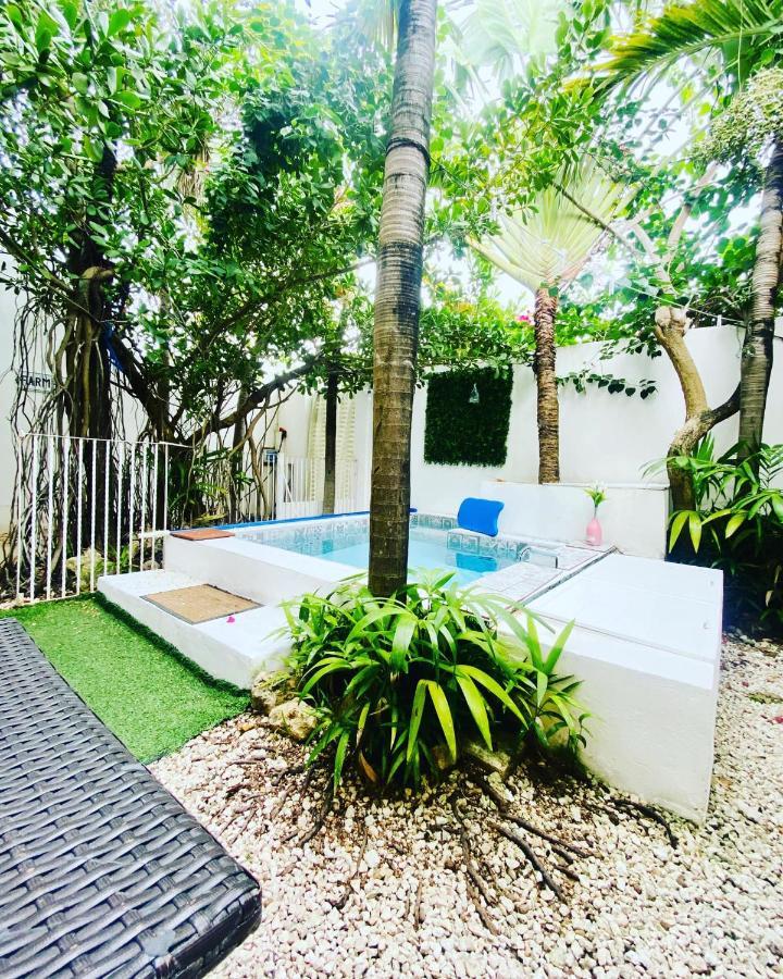 Cozy Tiny Studio Acasadialexplayadelcarmen Playa del Carmen Eksteriør bilde